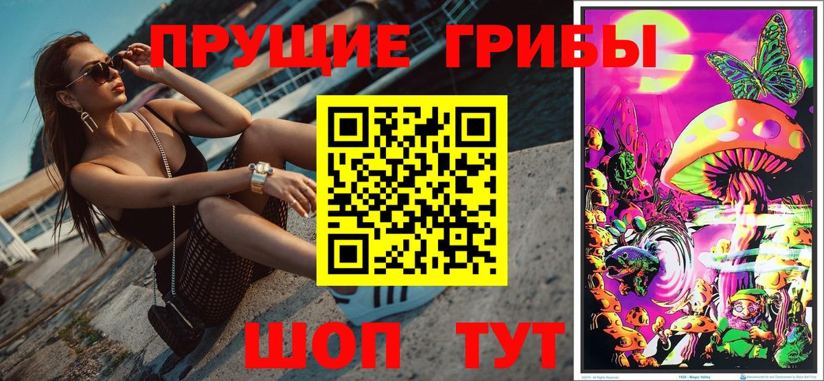 Псилоцибиновые грибы Psilocybe  Вход с VPN  Донской 