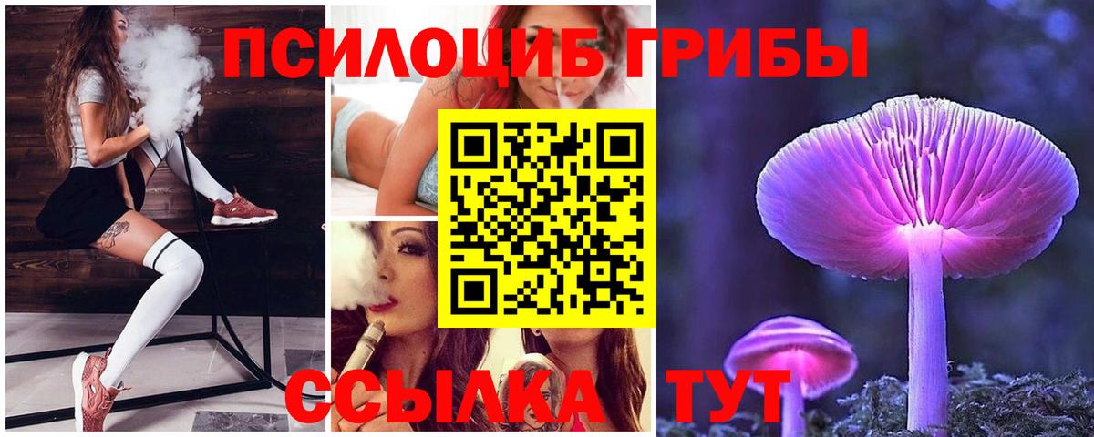 Псилоцибиновые грибы прущие грибы Донской